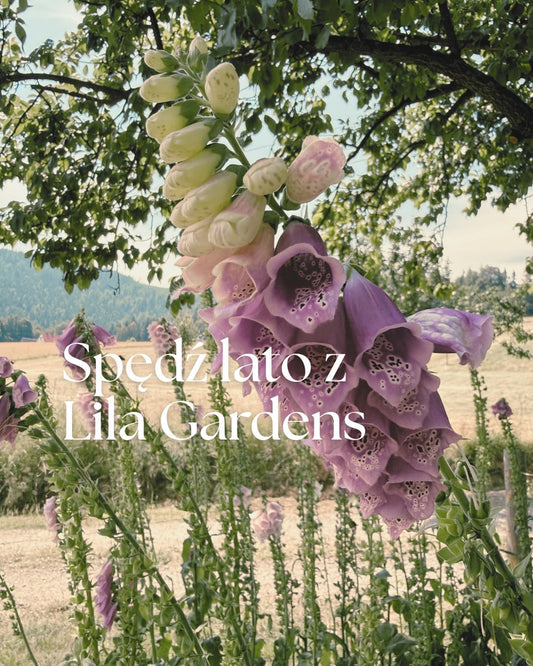 Spędź lato z Lila Gardens — czas na piękne chwile i nowe inspiracje